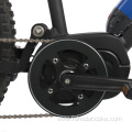Mountain Electric Bike with Wide Tires